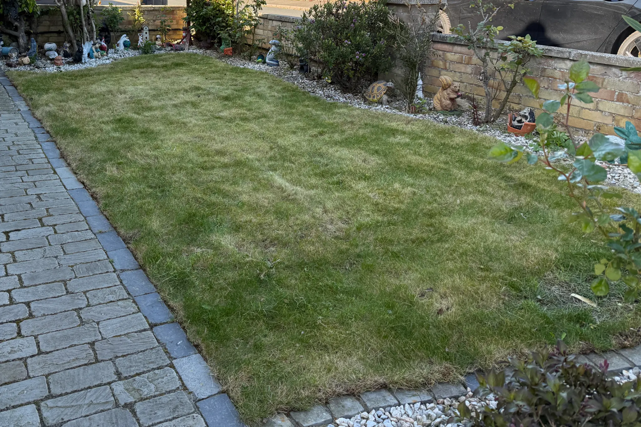 HOMELAWN garden services