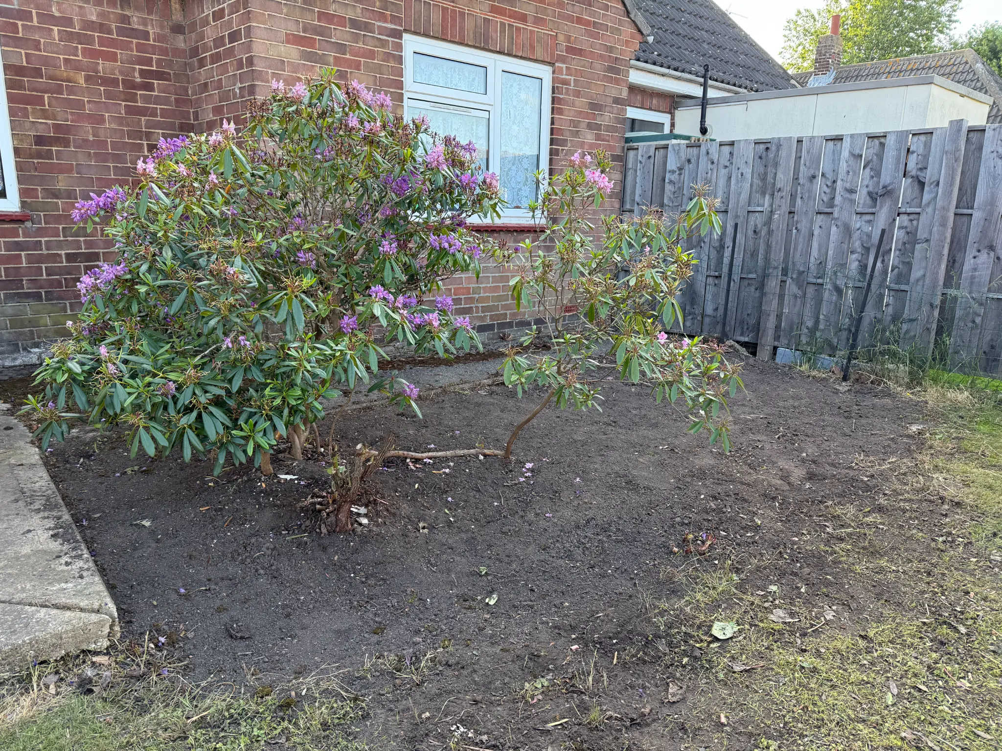 Ground Cleared