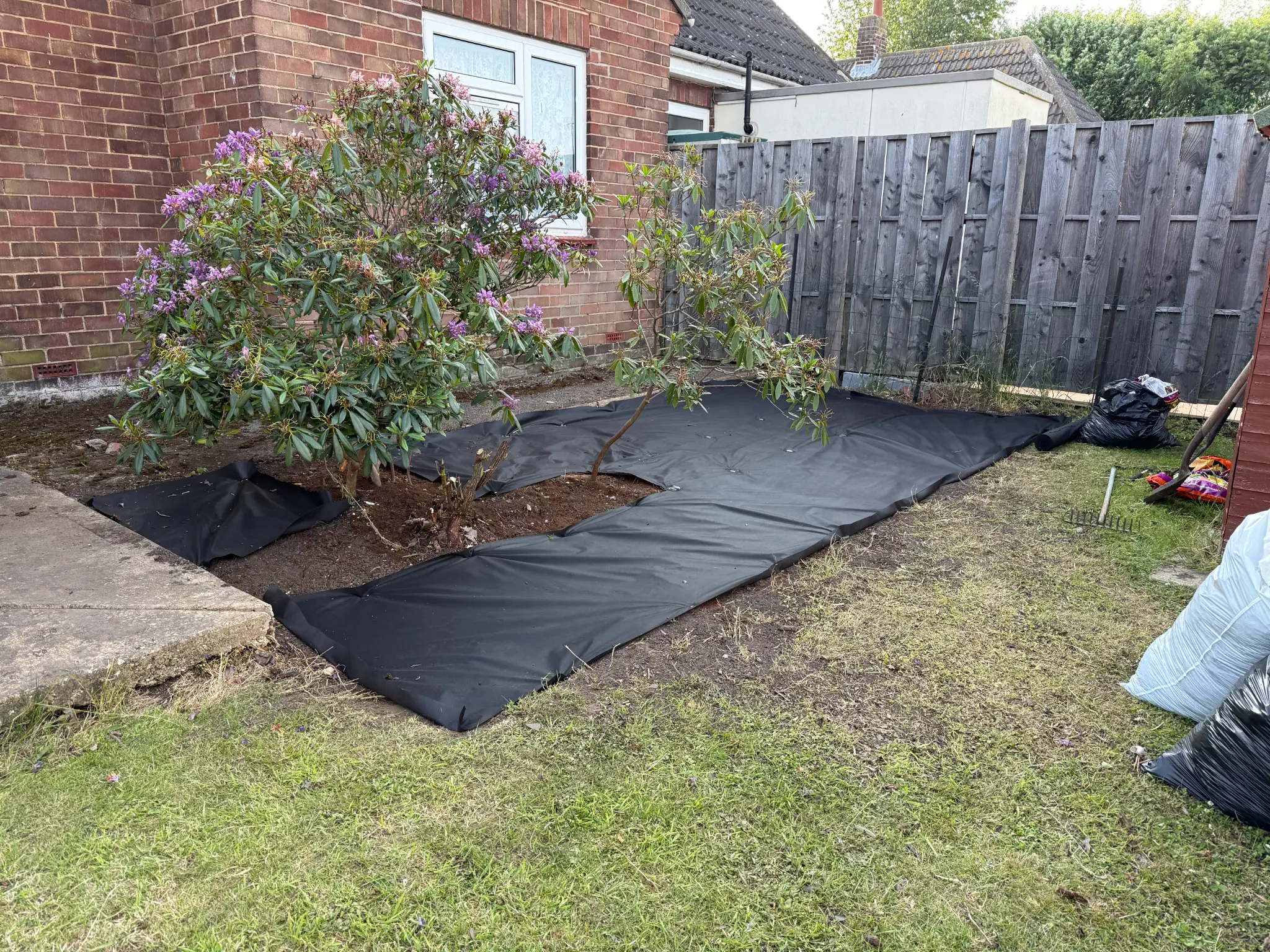 Membrane Laid